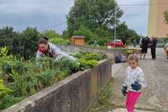 IMG-20240613-WA0016