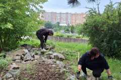 IMG-20240613-WA0028