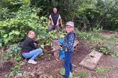 IMG-20240613-WA0042