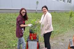 IMG-20240613-WA0048