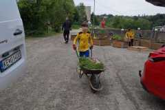 IMG-20240613-WA0049